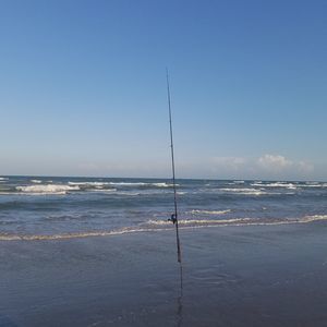 Meet your Posher, Kj